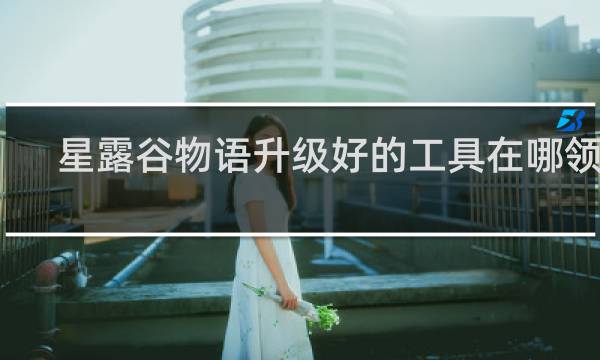 星露谷物语升级好的工具在哪领取