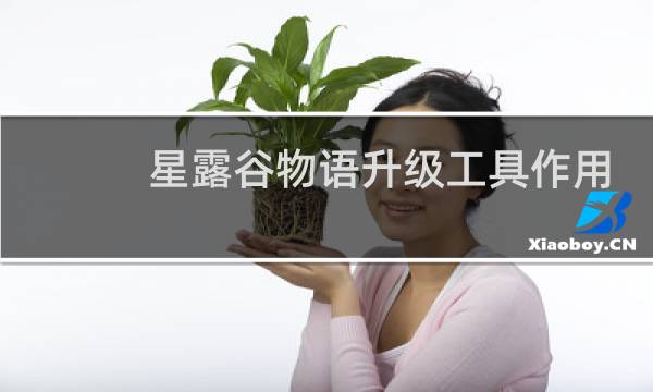 星露谷物语升级工具作用