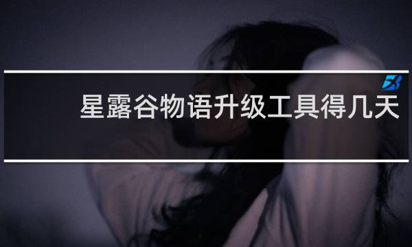 星露谷物语升级工具得几天