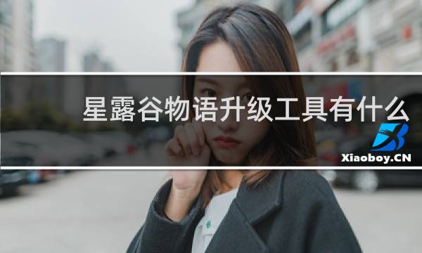 星露谷物语升级工具有什么
