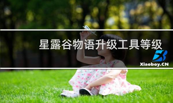 星露谷物语升级工具等级