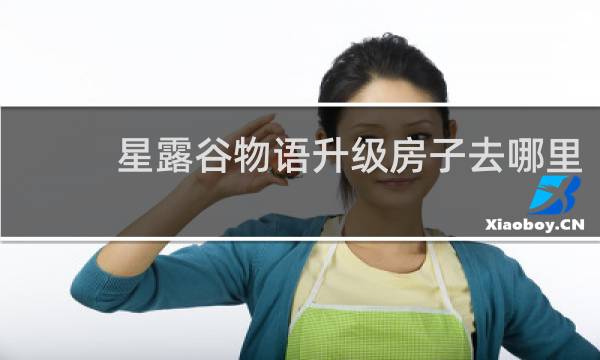 星露谷物语升级房子去哪里