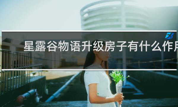 星露谷物语升级房子有什么作用