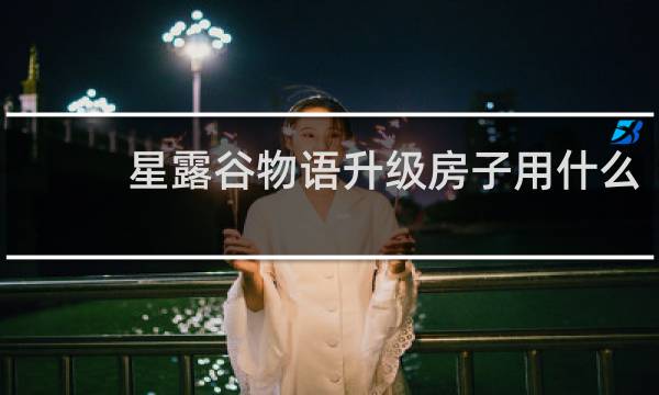 星露谷物语升级房子用什么