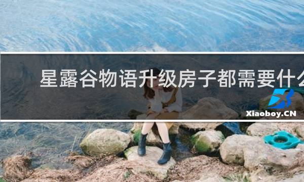 星露谷物语升级房子都需要什么