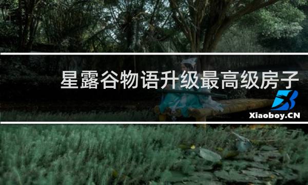 星露谷物语升级最高级房子
