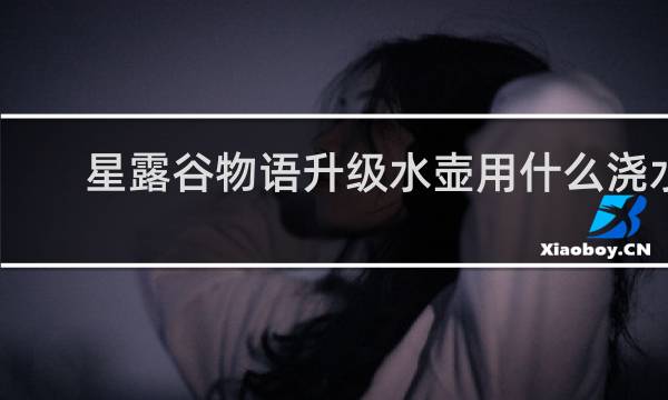 星露谷物语升级水壶用什么浇水