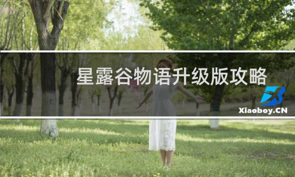星露谷物语升级版攻略