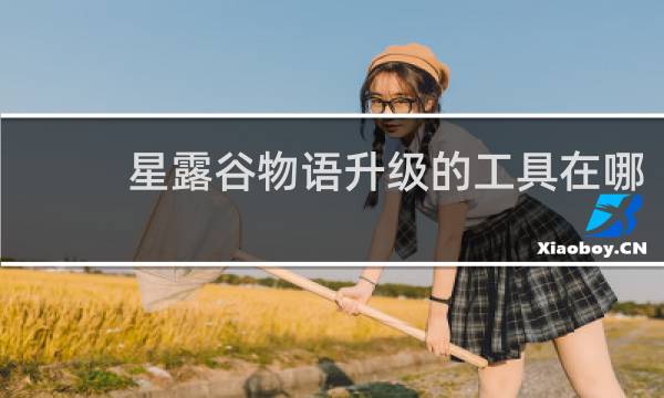 星露谷物语升级的工具在哪