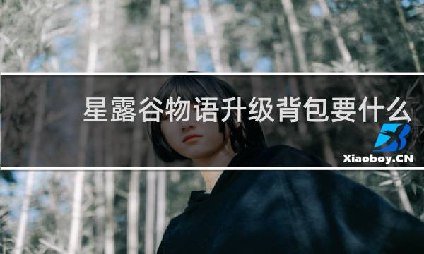 星露谷物语升级背包要什么