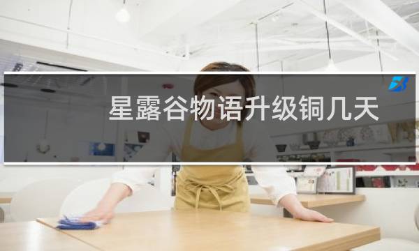 星露谷物语升级铜几天