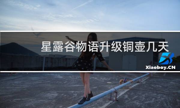 星露谷物语升级铜壶几天