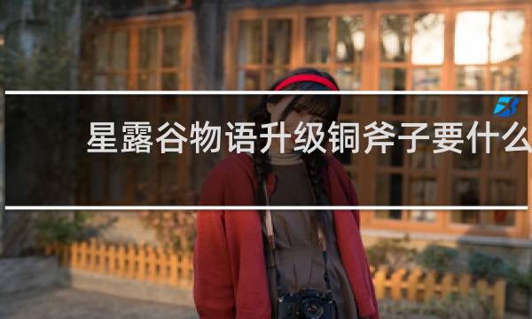 星露谷物语升级铜斧子要什么