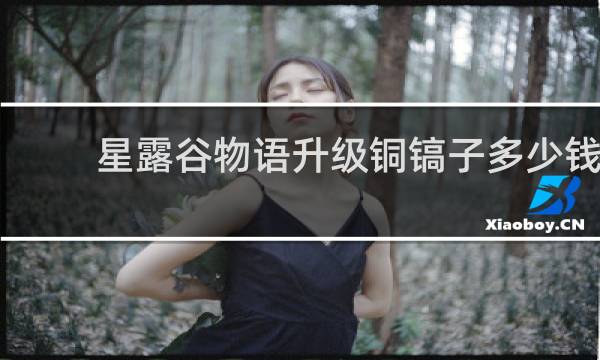星露谷物语升级铜镐子多少钱