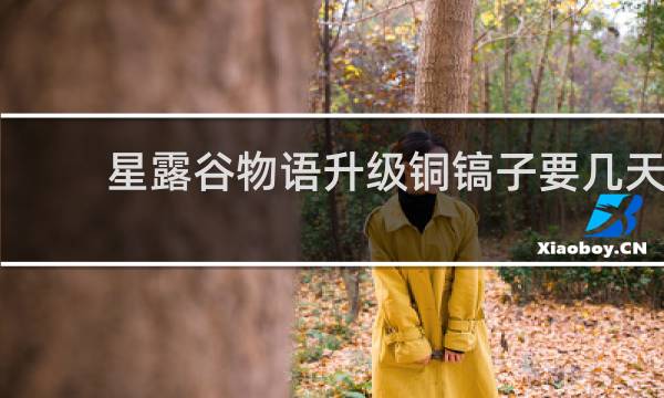 星露谷物语升级铜镐子要几天