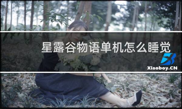 星露谷物语单机怎么睡觉