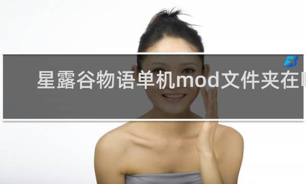 星露谷物语单机mod文件夹在哪