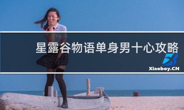 星露谷物语单身男十心攻略