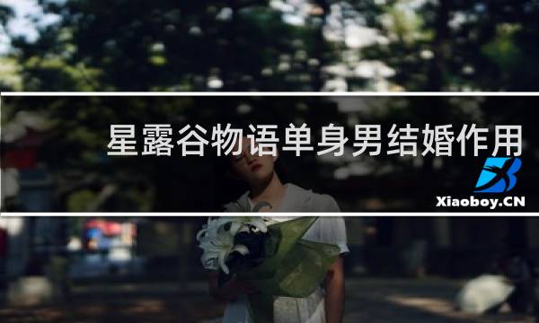 星露谷物语单身男结婚作用