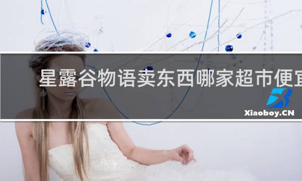 星露谷物语卖东西哪家超市便宜