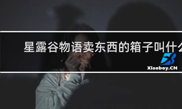 星露谷物语卖东西的箱子叫什么