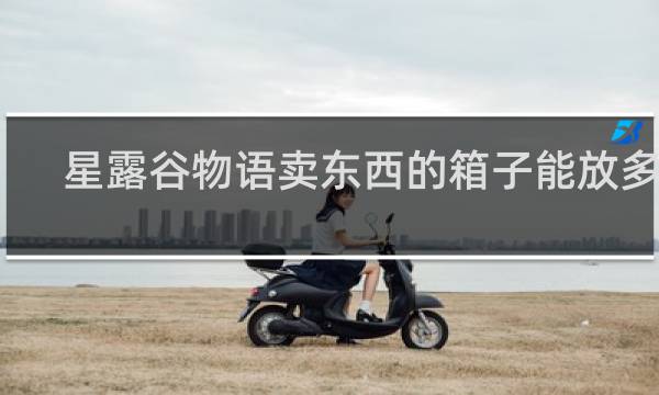 星露谷物语卖东西的箱子能放多少