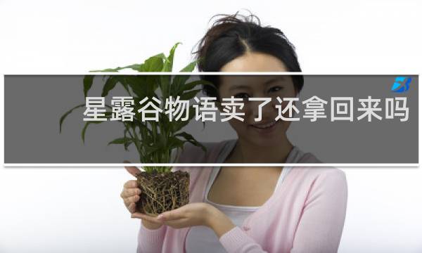 星露谷物语卖了还拿回来吗