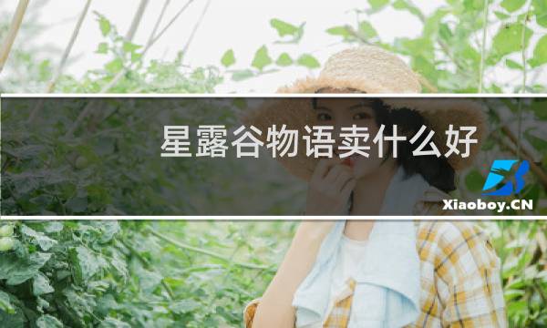 星露谷物语卖什么好