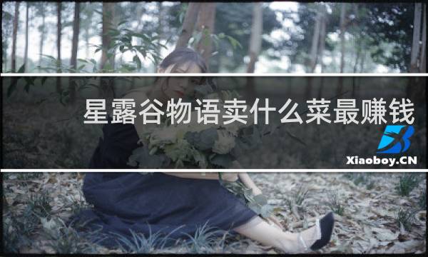 星露谷物语卖什么菜最赚钱