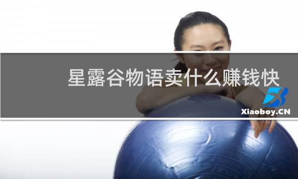 星露谷物语卖什么赚钱快