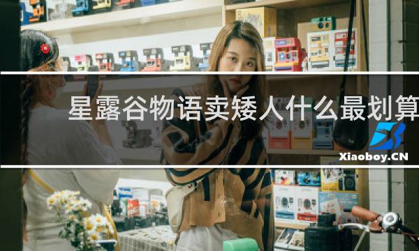 星露谷物语卖矮人什么最划算