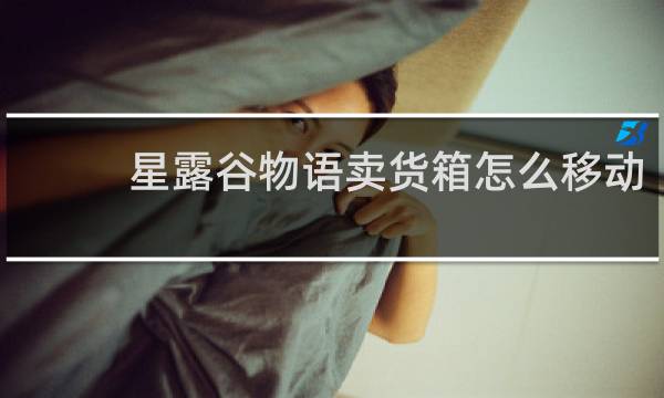 星露谷物语卖货箱怎么移动