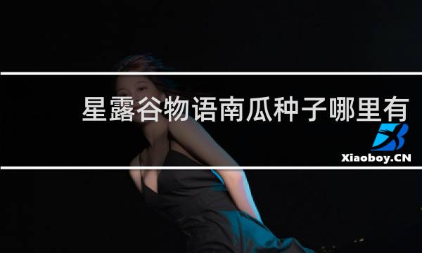 星露谷物语南瓜种子哪里有