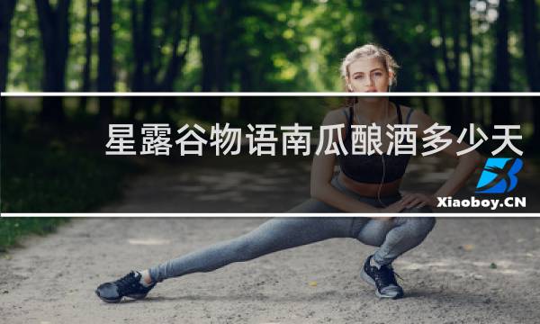 星露谷物语南瓜酿酒多少天