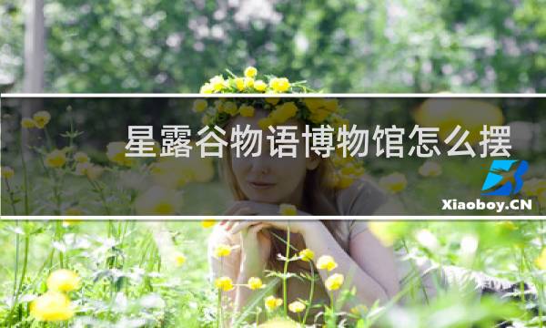 星露谷物语博物馆怎么摆
