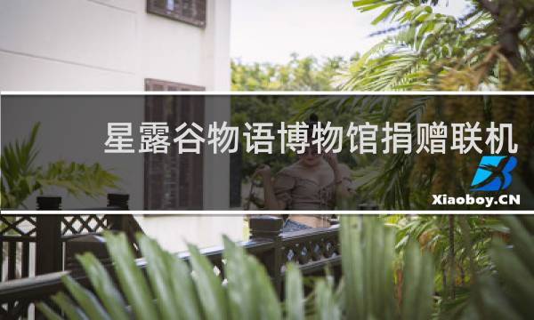 星露谷物语博物馆捐赠联机