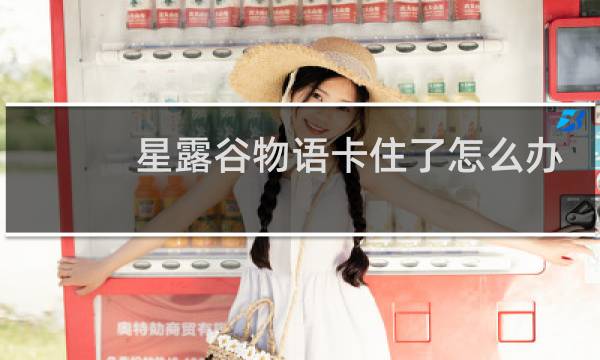 星露谷物语卡住了怎么办