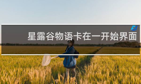 星露谷物语卡在一开始界面