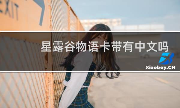 星露谷物语卡带有中文吗