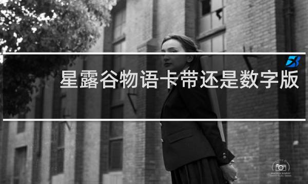 星露谷物语卡带还是数字版