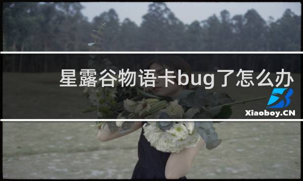 星露谷物语卡bug了怎么办