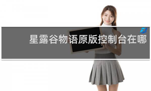 星露谷物语原版控制台在哪