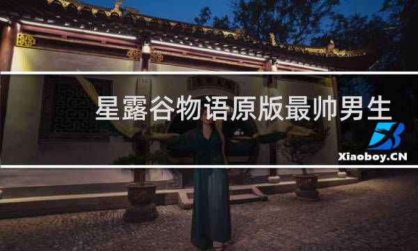 星露谷物语原版最帅男生