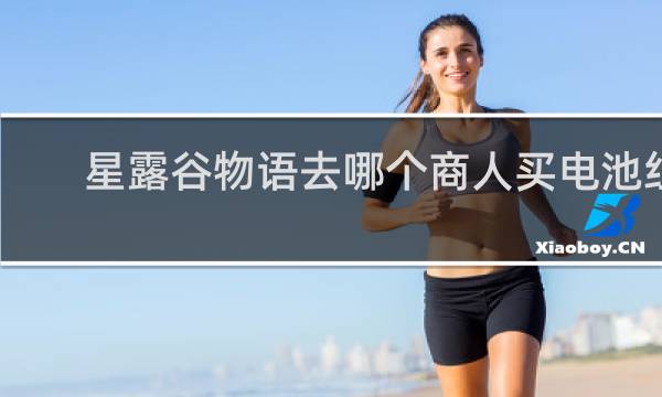 星露谷物语去哪个商人买电池组