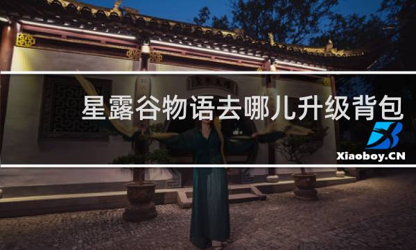 星露谷物语去哪儿升级背包