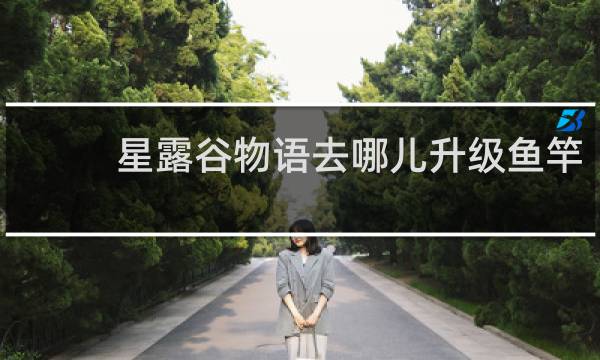 星露谷物语去哪儿升级鱼竿