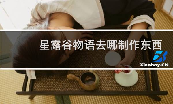 星露谷物语去哪制作东西