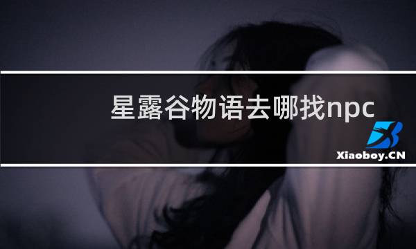 星露谷物语去哪找npc