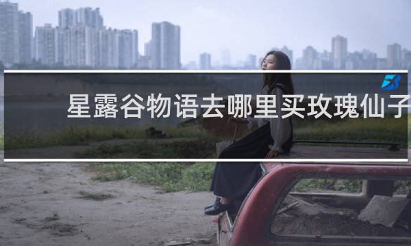 星露谷物语去哪里买玫瑰仙子
