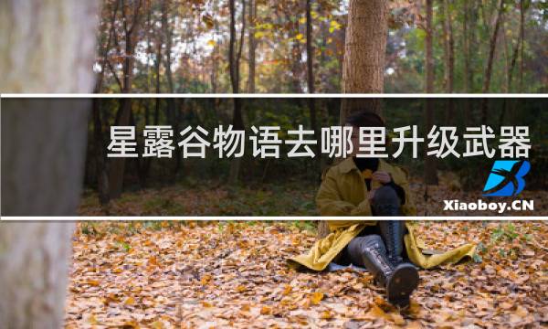 星露谷物语去哪里升级武器